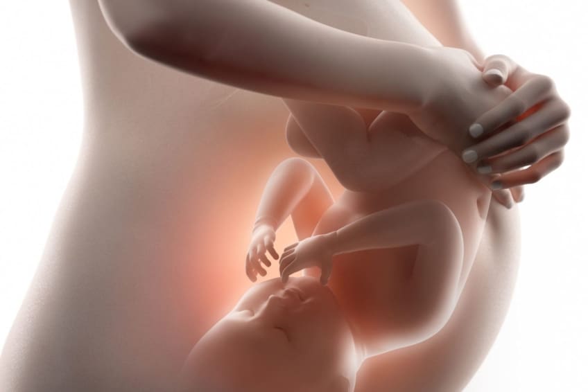 illustration of close-up of pregnant woman’s belly with fetus inside
